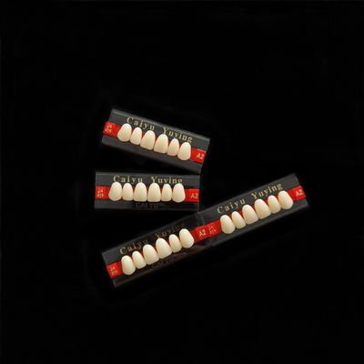 CE ISO13485 2 Layers Acrylic Resin Teeth Dental Composite False Teeth Dentadura Anteriors Upper, (6x1)x16, 503#