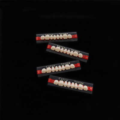 Acrylic Resin Teeth Posteriors Upper (8x1)x12 High Wear Resistance Composite Dentadura CE ISO Manufacturer